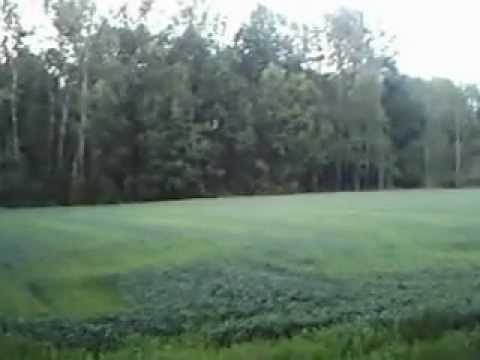 sinjor mirmaj i mili od markovica rad u polju na zeca