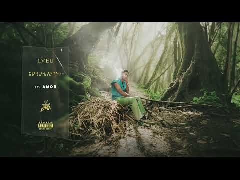 Video thumbnail for AMOR