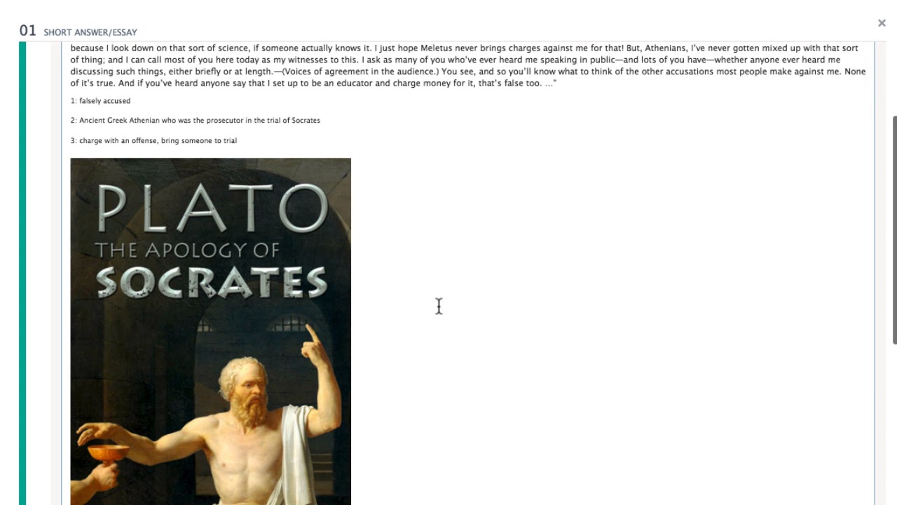 Short Answer / Essay Question Setup