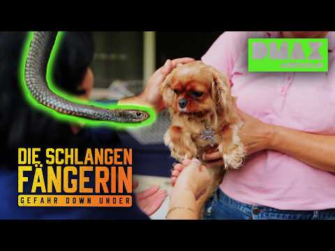 Giftige Schlange im Hundegehege! 🐍🐕 | Die Schlangenfängerin | DMAX Adrenalin