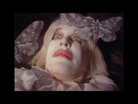 afbeelding Ballad of Genesis and Lady Jaye, The