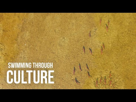 The Cultural Value of Salmon in Northern British Columbia, Canada