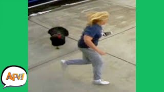 Miniature vidéo