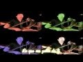 What I Like About You - The Romantics ...