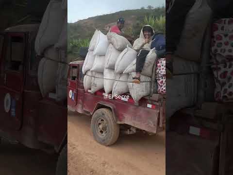 ¿Desde “Estados Unidos” en el Cesar… ha visto cómo sacan el café en estas trochas? 🚙☕🔥