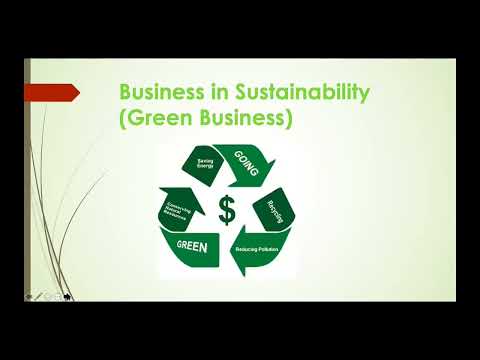 Thumbnail for “Are Green Businesses Profitable?”