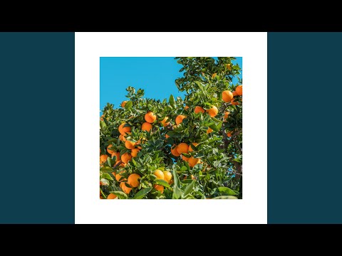 Fanta (feat. Ami Palmate)