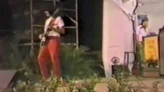 Savant-Piktor's Metamorphosis