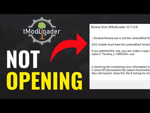 Tmodloader Main Engine Crash