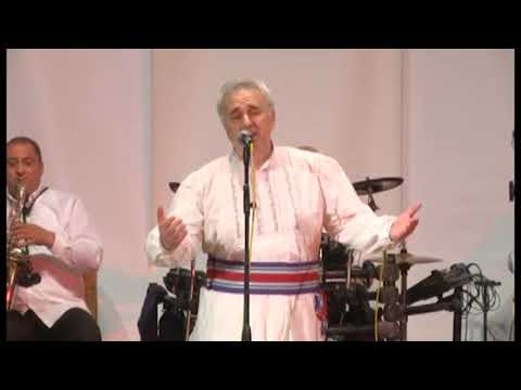 SAŠA DRAŽILOVIĆ - SENA -  La fintina djin reskruce ; Vlaška pesma HD