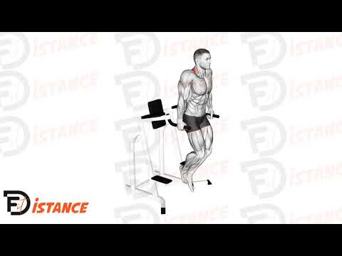 Exercice Shrugs sur barres parallèles