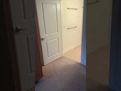 Park87 (87 New St, #201) 2 Bed, 2 Bath