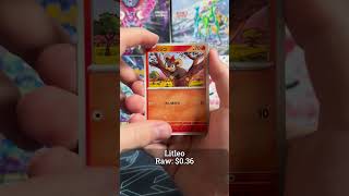 Ninja Spinner | Pack A Day 23 #pokemon #pokemontcg #pokemoncards