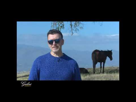 LEON MENKSHI: "GALERI" - arkiv (emisioni 3)