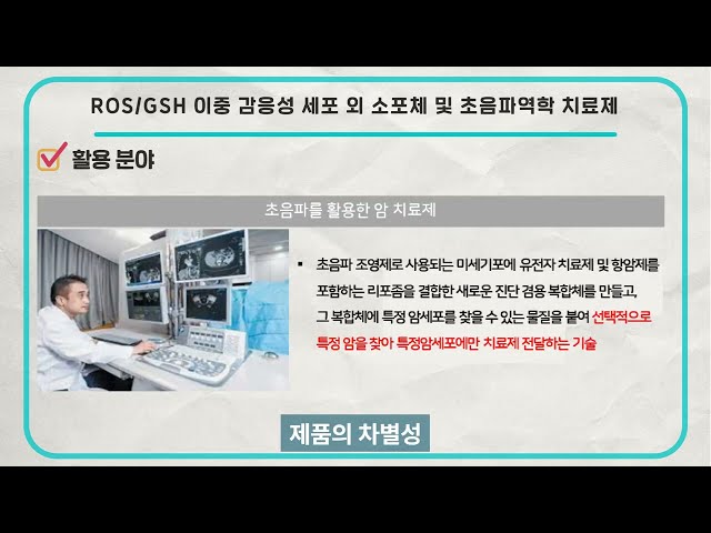 ROS/GSH 이중 감응성 세포 외 소포체 및 초음파역학 치료제