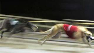 The Last Race