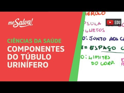 Me Salva! SURI02 - Componentes do Túbulo Urinífero (Parte I) - Histologia Humana