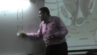 Dr Ahmed El-Zeiny Pelvis 8 part2 " Uterus "