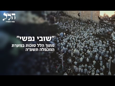 "שובי נפשי" - מתוך הלל סוכות במערת המכפלה תשפ"ה