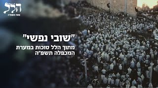 "שובי נפשי" - מתוך הלל סוכות במערת המכפלה תשפ"ה (הרב שמואל אליהו) - התמונה מוצגת ישירות מתוך אתר האינטרנט יוטיוב. זכויות היוצרים בתמונה שייכות ליוצרה. קישור קרדיט למקור התוכן נמצא בתוך דף הסרטון