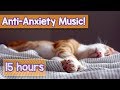 Calming Music For Cats With Anxiety Deep Soothing Music For Anxious Ill And Stressed Cats 2018