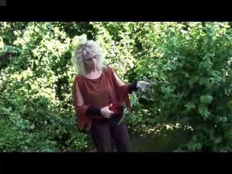 Kräuterlehrgang: Das Wildkraut Beifuß - Artemisia vulgaris