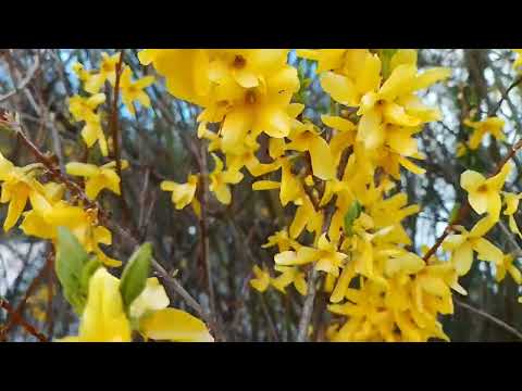 Gestern Nachmittag das Video Produziert für Euch und Hoffe es Gefällt Euch 😲😲😲😲