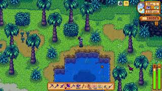 Stardew Valley:  Finding the Bird during the Rain on Ginger Island is important