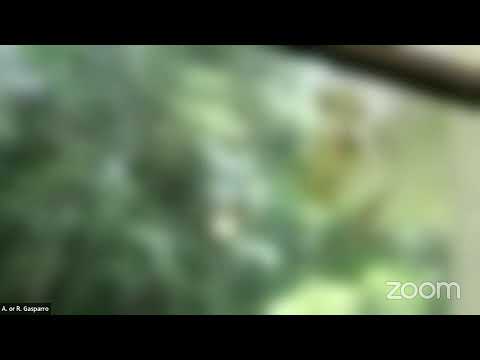 A. or R. Gasparro's Personal Meeting Room