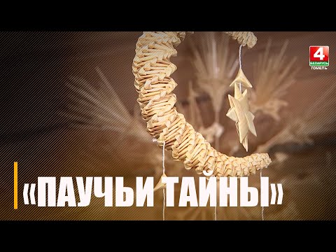 В Рогачёвском районе можно окунуться в «Паучьи тайны» видео