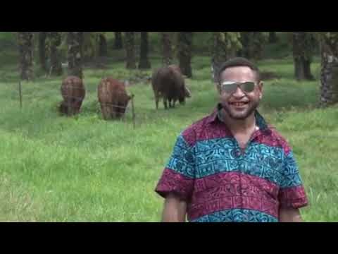 Oil Palm Province Latest. Augustine Emil 2024