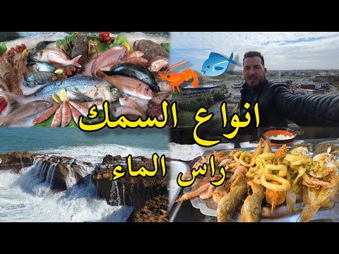 راس الماء كاب دولو 🦐 أسماك البحر 🌊| أفضل أنواع الأسماك 🐟 Ras El Ma Cap de l’Eau