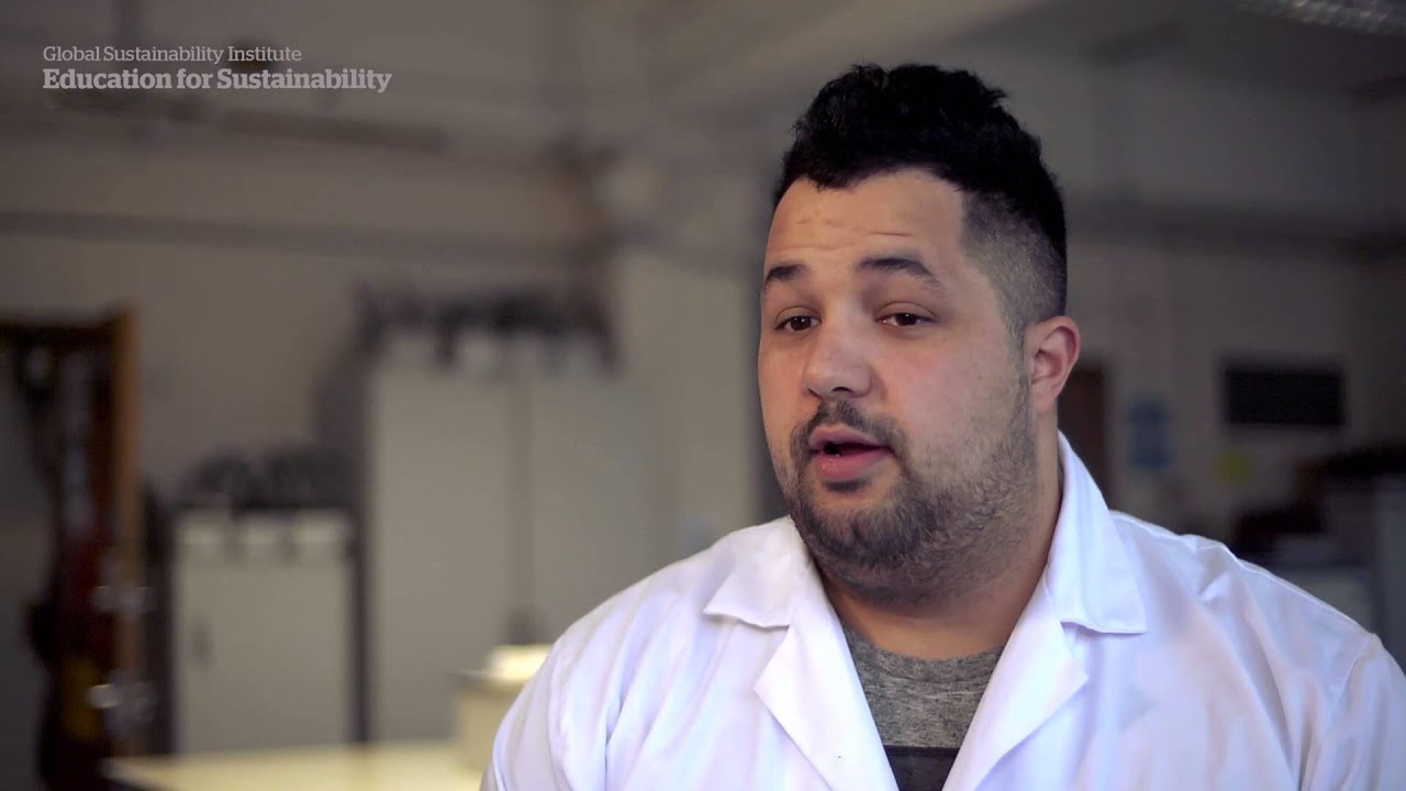 Global Sustainability Institute: Education for Sustainability