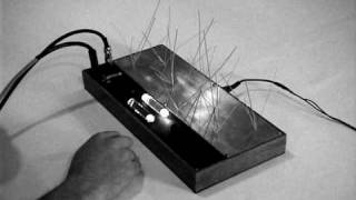 Video thumbnail for Folktek Luminist Garden Video 1 by Folktek