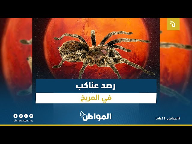 رصد عناكب في المريخ
