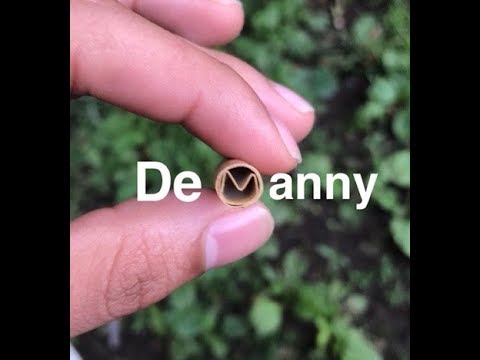 DeManny - Propuesta