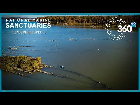 Explore the Blue: 360° Mallows Ghost Fleet | Office of National Marine Sanctuaries