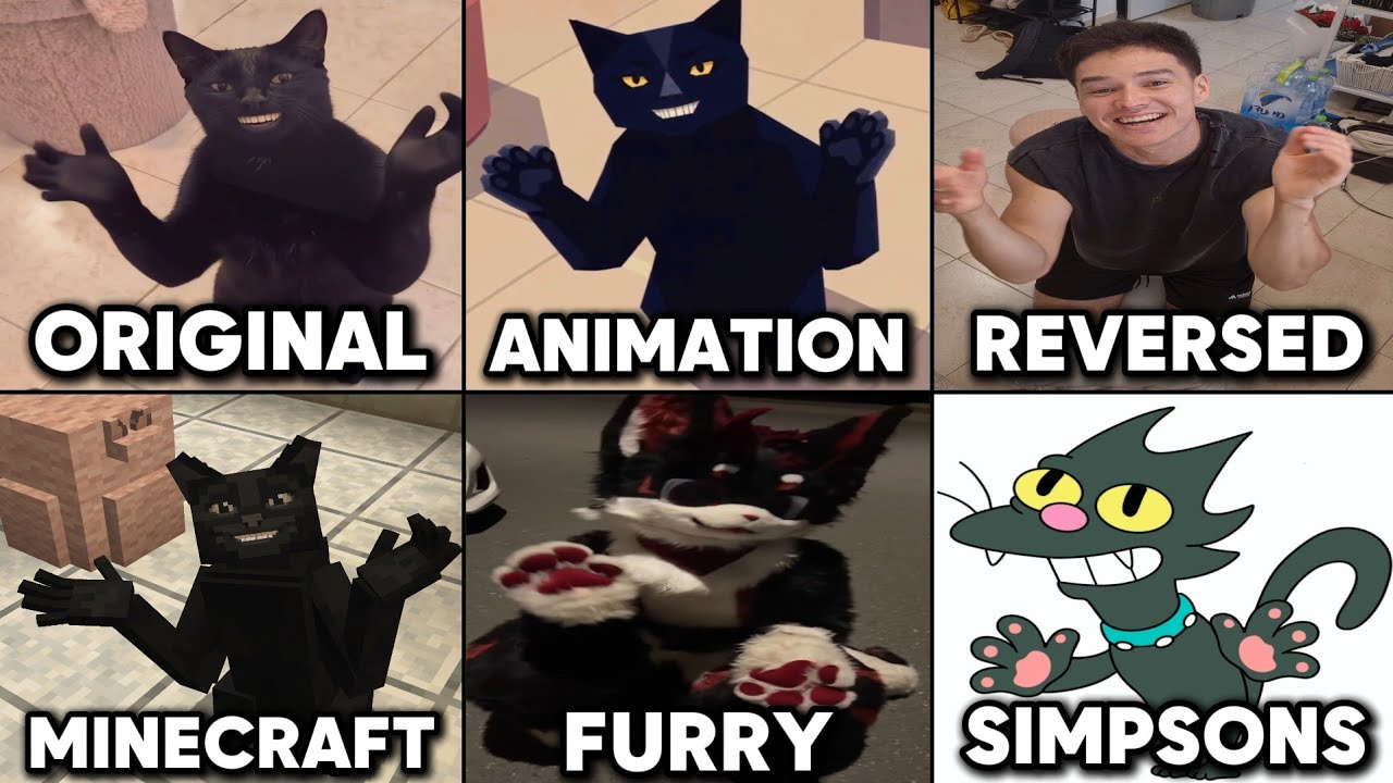 Cat Clapping Hand Meme All Versions
