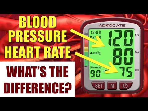 Blood Pressure and Heart Rate:  What's the Difference and Why Should You Care