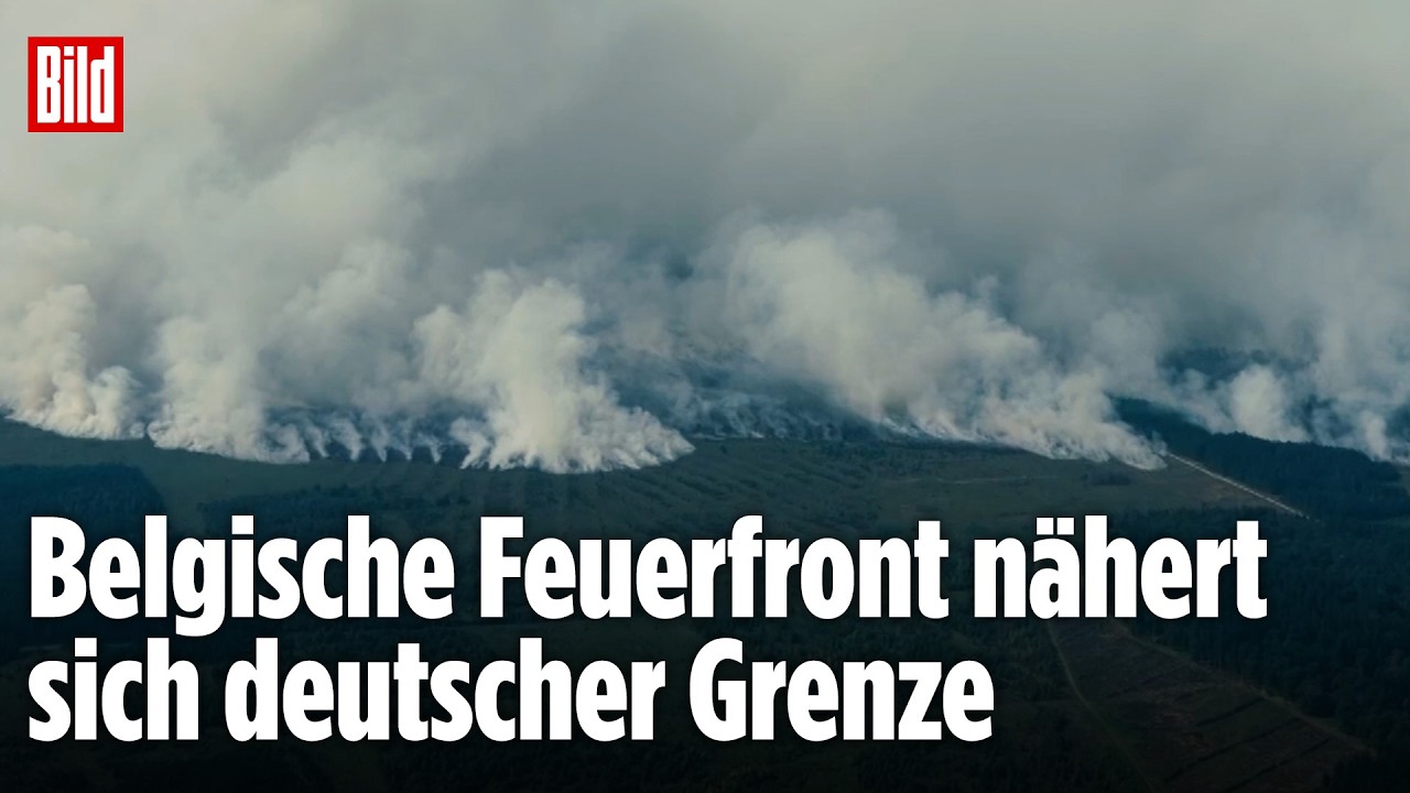 Feuerwand wird immer schlimmer: Großbrand wütet vor deutscher Grenze
