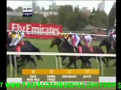 2010 Melbourne Cup Americain Wins 2010 Emirates Melbourne Cup