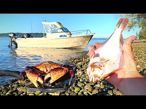 Island Catch & Cook in SHARK INFESTED Waters!!! (Underwater Fishing Footage)