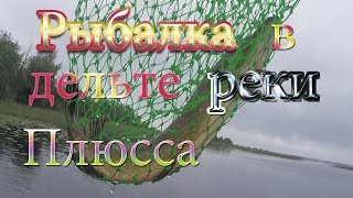 Рыбалка реке плюсса