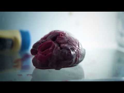 SPIRO - NIENTE DI SPECIALE