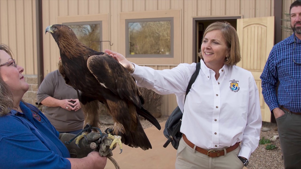 CPN Eagle Aviary Tour