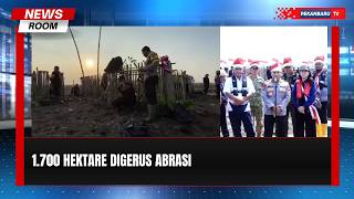 1.700 Hektare Terdampak Abrasi, Mangrove Jadi Benteng Kuala Selat