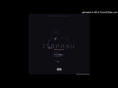 DjSgwile & TheGqomOwl - Isibhaxu