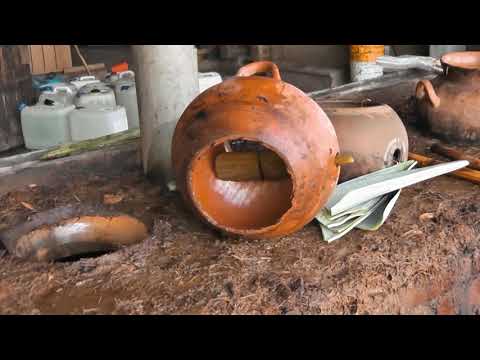 download lagu mp3 mp4 Mezcal De La Vega, download lagu Mezcal De La Vega gratis, unduh video klip Mezcal De La Vega