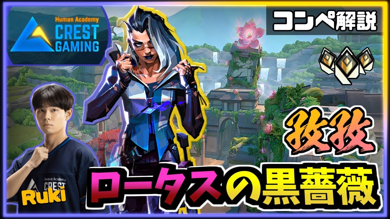 【プロコンペ解説】ロータスの黒薔薇【CGZ Ruki：フェイド】