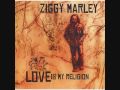 Ziggy Marley - Jammin
